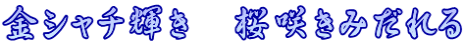 金シャチ輝き　桜咲きみだれる