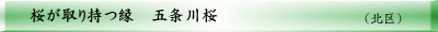 （中区） 