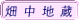 畑中地蔵 